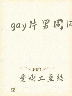gay片男同网