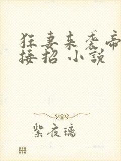 狂妻来袭帝少请接招 小说