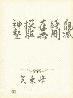 神探在线观看完整版无删减