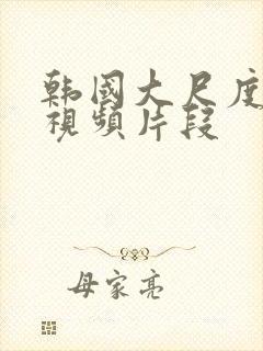 韩国大尺度床戏视频片段