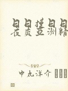 日日摸日日碰夜夜爽亚洲精品蜜乳