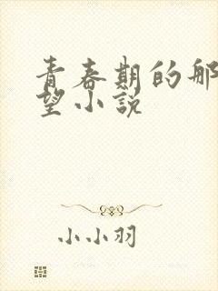 青春期的那些欲望小说