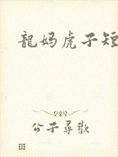 龙妈虎子短剧封面