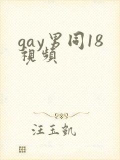 gay男同18视频