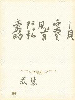 豪门风云ⅰ总裁的私有宝贝 韩祯祯封面