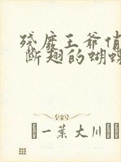 残废王爷俏医妃 断翅的蝴蝶