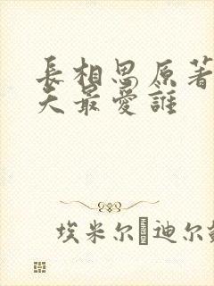 长相思原著中小夭最爱谁