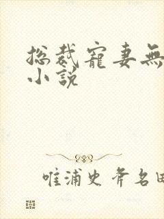 总裁宠妻无度的小说