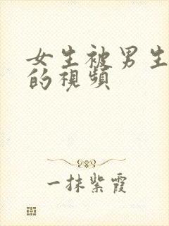 女生被男生爆操的视频