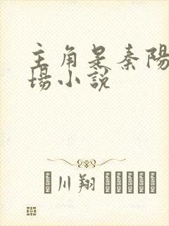 主角是秦阳的官场小说封面