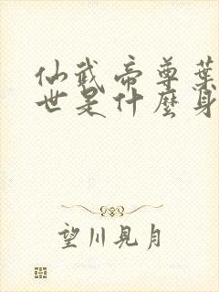 仙武帝尊叶辰前世是什么身份