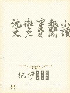 沈微穿越小说全文免费阅读封面