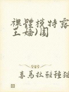 裸体模特露露(王嫱)图封面