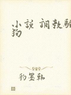小说 调教骚母狗