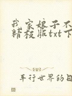我家娘子不对劲精校版txt下载封面