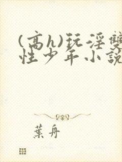 (高h)玩淫双性少年小说封面