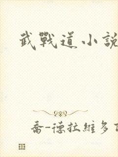 武战道小说