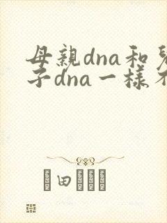 母亲dna和儿子dna一样不