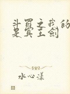 斗罗之我的武魂是冥王剑