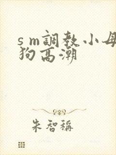 s m调教小母狗高潮