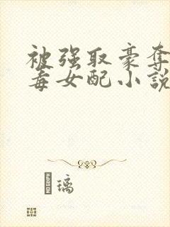 被强取豪夺的恶毒女配小说