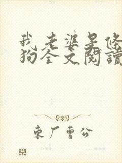 我老婆是条贱母狗全文阅读小说免费