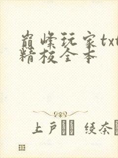 巅峰玩家txt精校全本