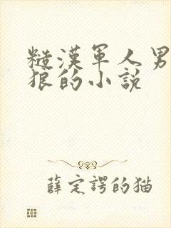 糙汉军人男主是狼的小说