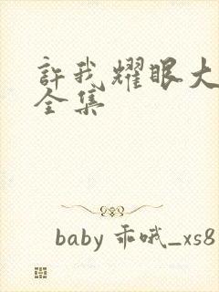 许我耀眼大结局全集