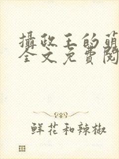 摄政王的萌狐妃全文免费阅读