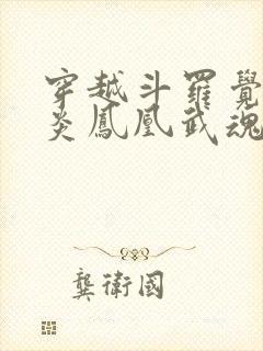 穿越斗罗觉醒黑炎凤凰武魂