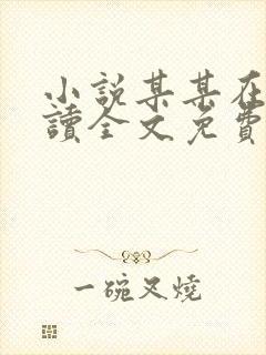 小说某某在线阅读全文免费