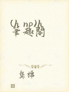 (h np)h笔趣阁