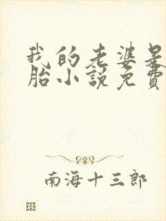 我的老婆是双胞胎小说免费阅读全本