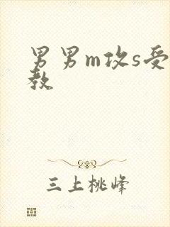 男男m攻s受调教