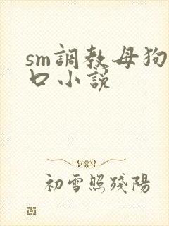 sm调教母狗重口小说
