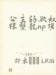 公主的欲奴h四根双龙np视频