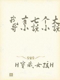 我有七个大佬哥哥小说小说