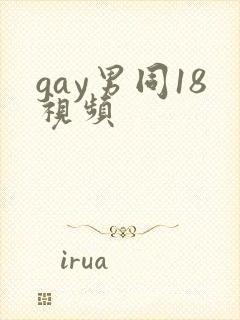 gay男同18视频