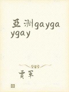 亚洲gaygaygay