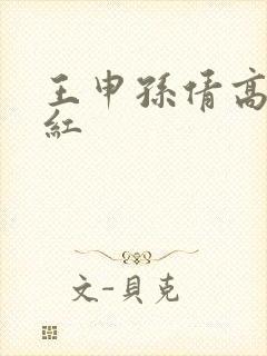 王申孙倩高义美红封面