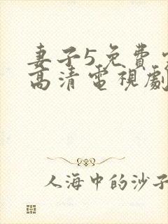 妻子5免费完整高清电视剧看封面