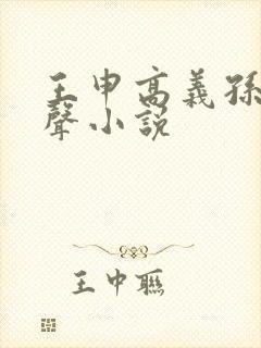 王申高义孙倩有声小说