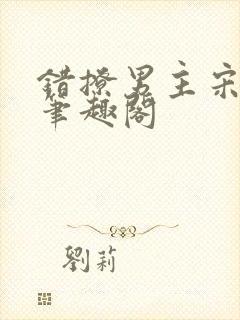 错撩男主宋云锦笔趣阁