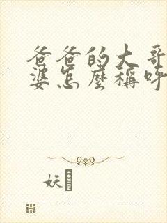 爸爸的大哥的老婆怎么称呼