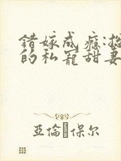 错嫁成瘾:总裁的私宠甜妻