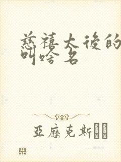 慈禧太后的丈夫叫啥名