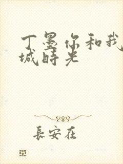 丁墨你和我的倾城时光