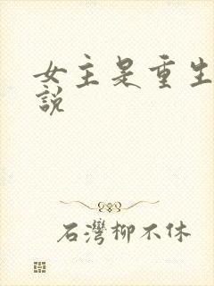 女主是重生的小说