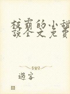 校霸的小甜甜小说全文免费阅读